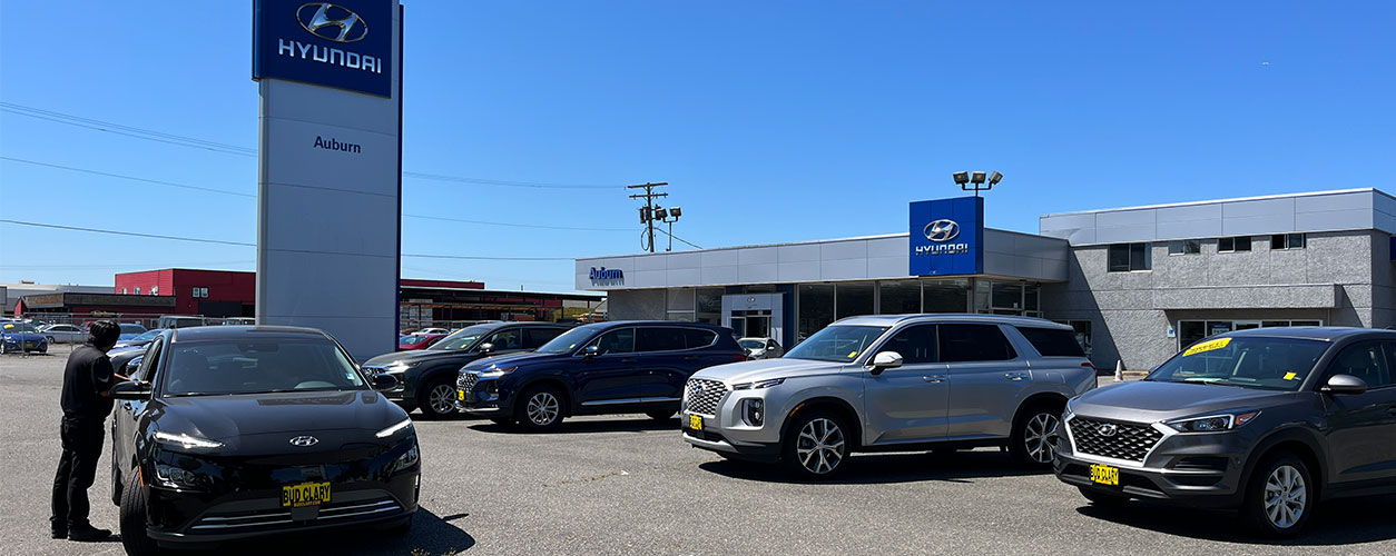 Sell Your Hyundai background